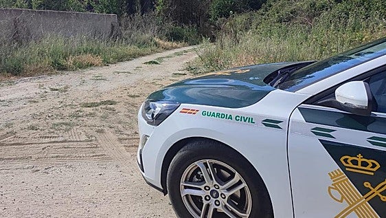 Man arrested in Spanish town for bludgeoning a dog to death
