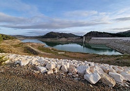 Photo taken this Tuesday at the Guadalteba reservoir, north of Malaga.