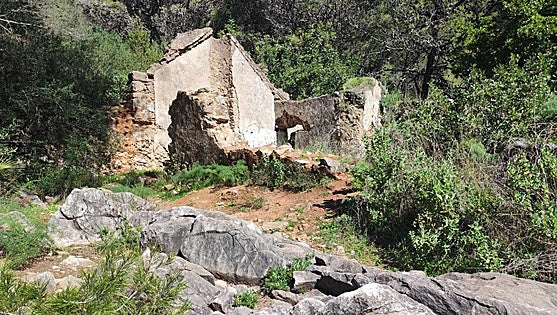 A walk to a sanctuary hidden in the woods of Marbella