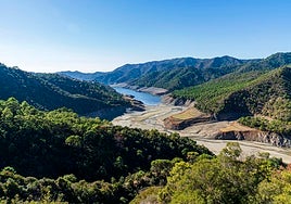 La Concepción reservoir near Marbella should reach the end of the hydrological year with at least 20 hm3.