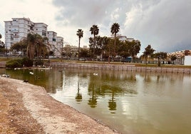 Image of the pond in María Zambrano Park, where there are some 200 ducks and geese.