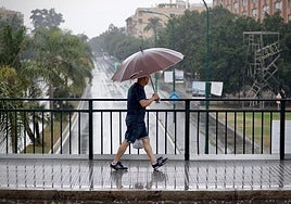 Aemet extends weather warning for heavy rain and storms to entire Costa del Sol and whole of Malaga province