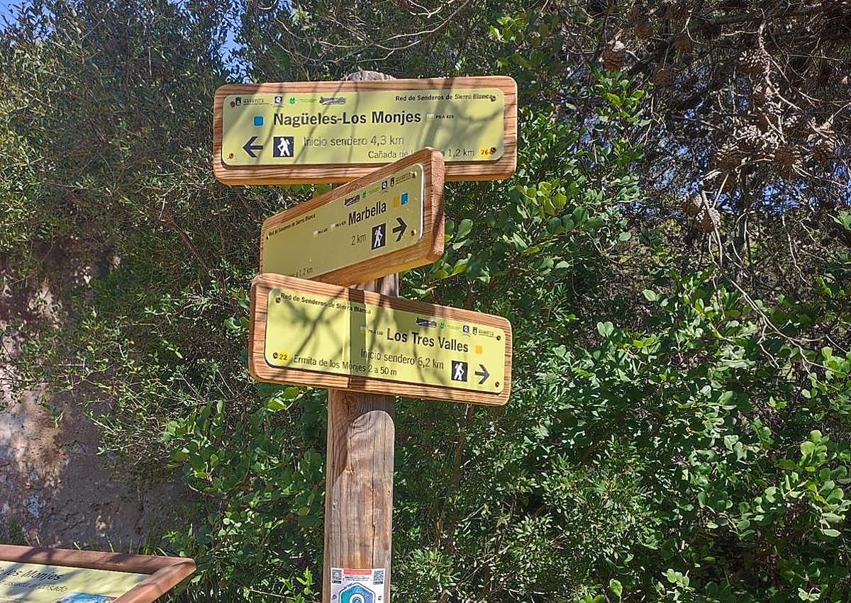 Imagen secundaria 1 - A walk to a sanctuary hidden in the woods of Marbella