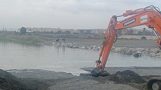 Rising sea levels, sand barriers and drought: dozens of fish trapped again at the mouth of the Guadalhorce river