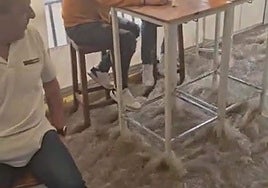 Still from the video recorded in Prado del Rey as the rainwater poured through the bar.