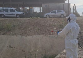 Fumigation in Zapata on 24 September