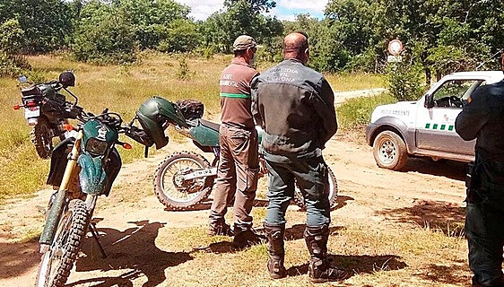 Elderly man dies after being attacked by a deer on a farm in southern Spain