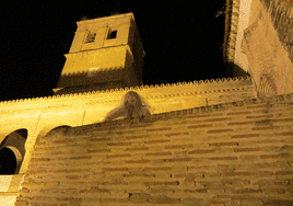 Six traditions and festivals that are still going strong in Malaga province, despite Halloween