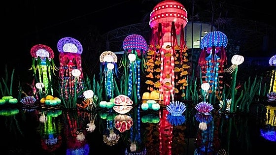 Everything you need to know about Malaga's spectacular Christmas light shows: These are the dates, times and new features for 2024