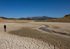 The Guadalteba reservoir, this summer.