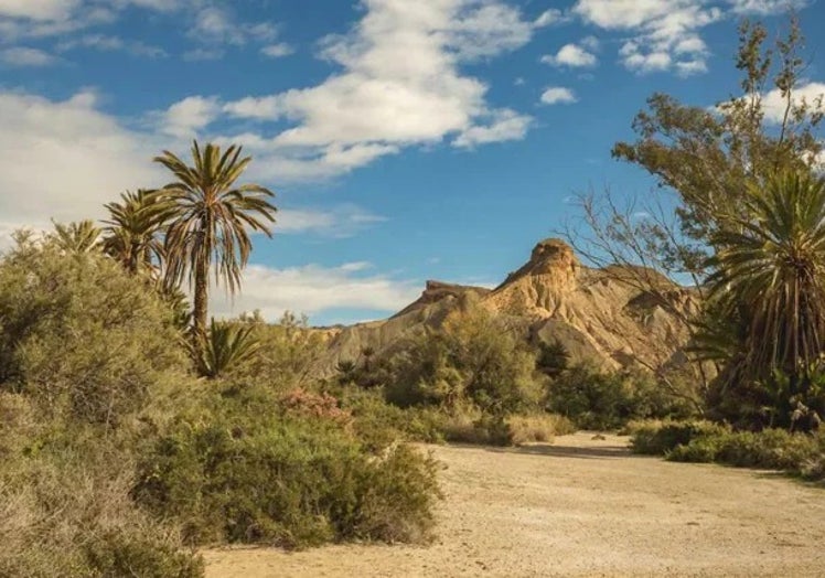 Photo of the well-known Lawrence of Arabia oasis in Tabernas.