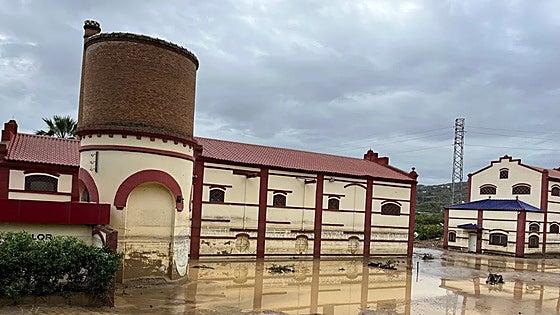 Malaga town badly hit by 'Dana' storm starts to slowly recover six days after the devastating flooding