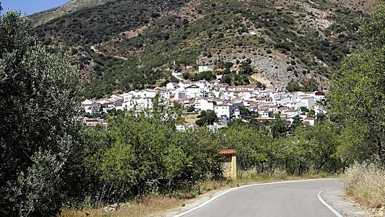 Young man dies in work accident at meat company in Serranía de Ronda village