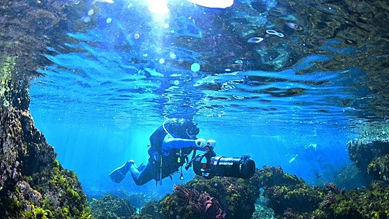 Two popular Spanish tourist resorts bid for international photography event