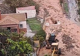 Barranco del Sol area, this morning.