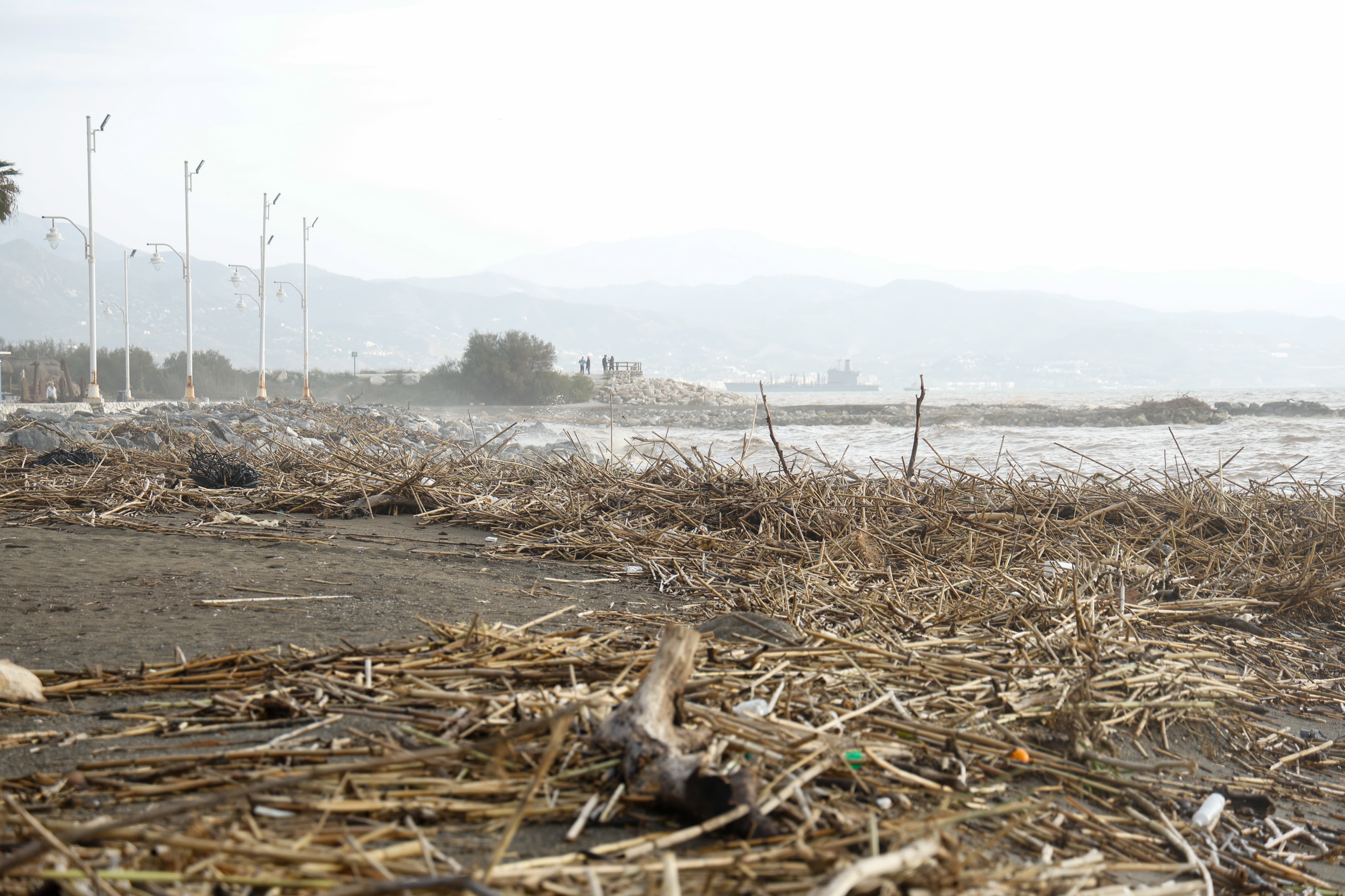 La orilla, en Guadalmar, tras las lluvias.