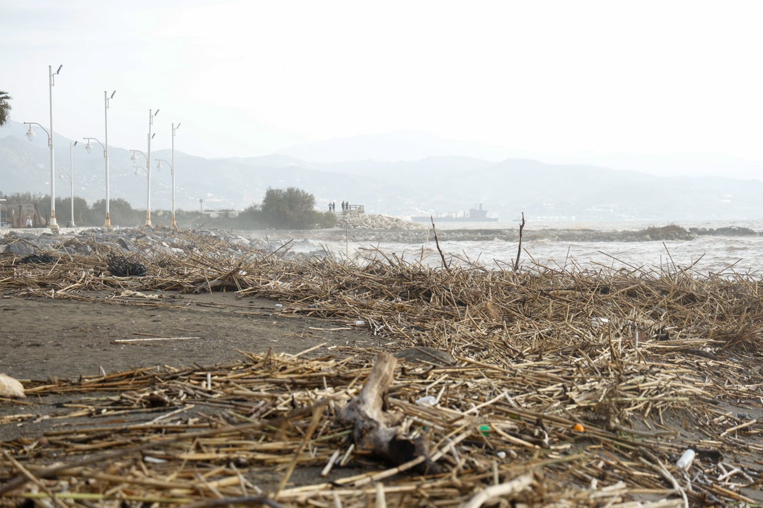La orilla, en Guadalmar, tras las lluvias.