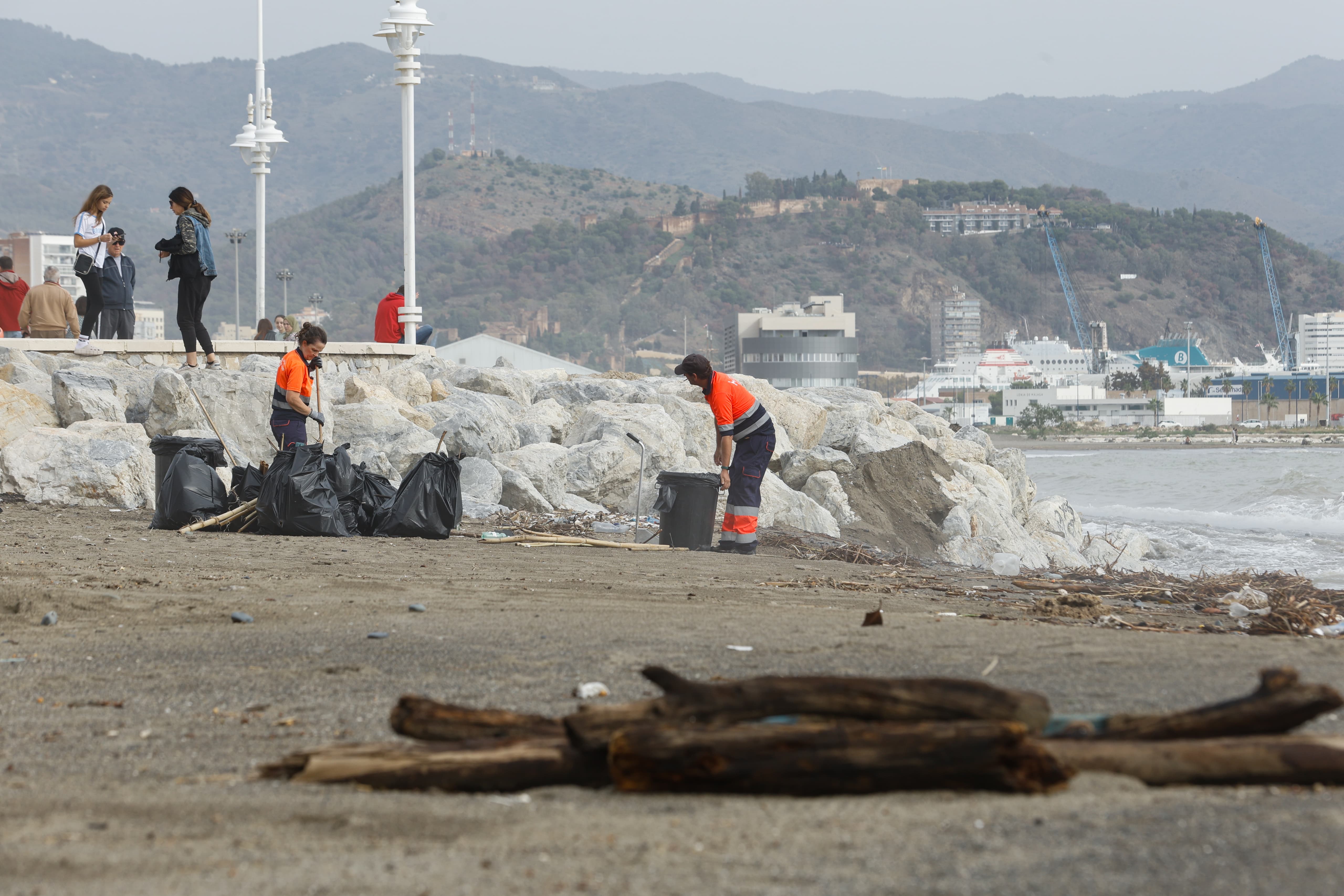 Limpieza en la playa del paseo marítimo Antonio Banderas.