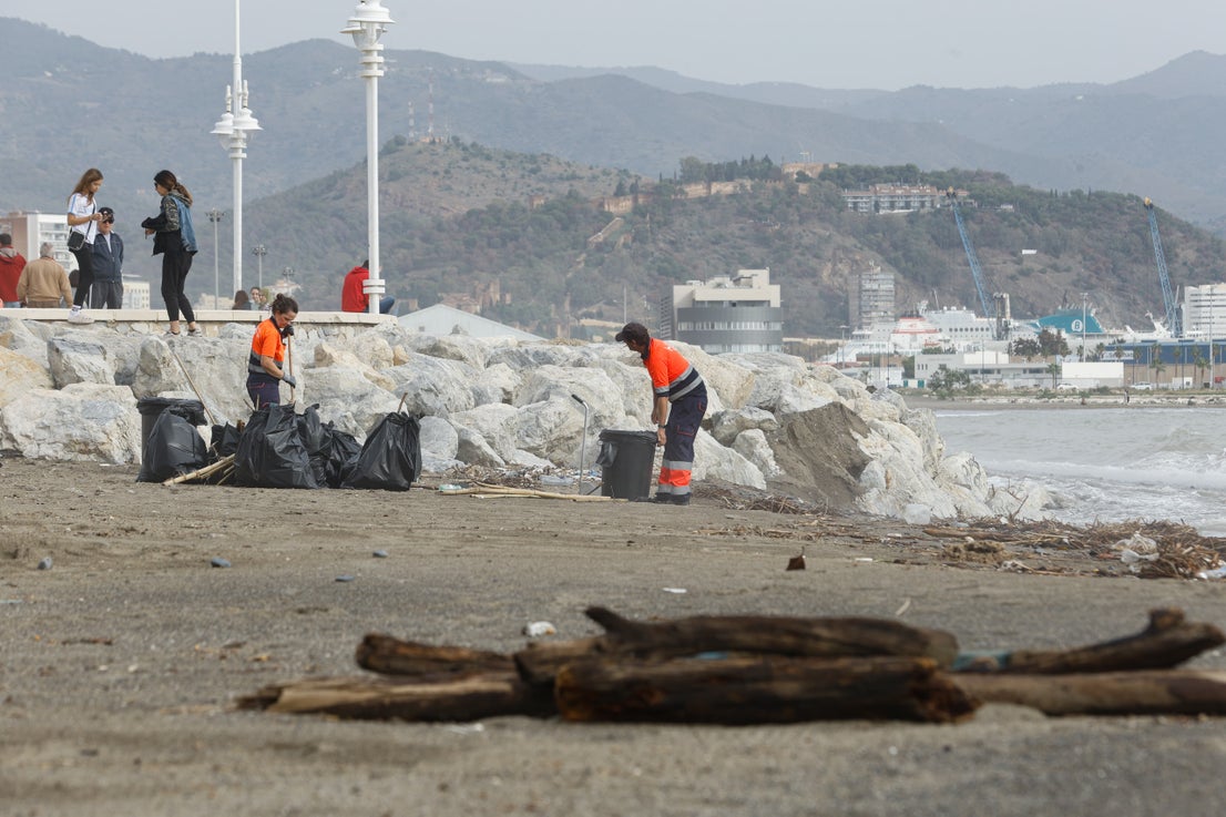 Limpieza en la playa del paseo marítimo Antonio Banderas.