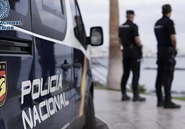 Man arrested for stabbing his 73-year-old brother on the Costa del Sol