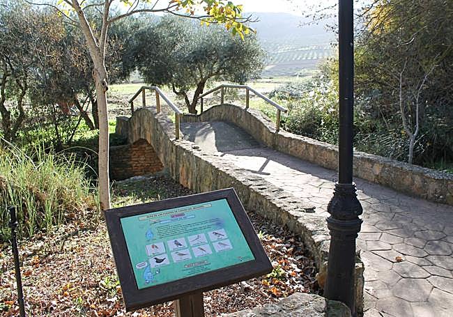 Bridge next to the Paseo del Carrizal.