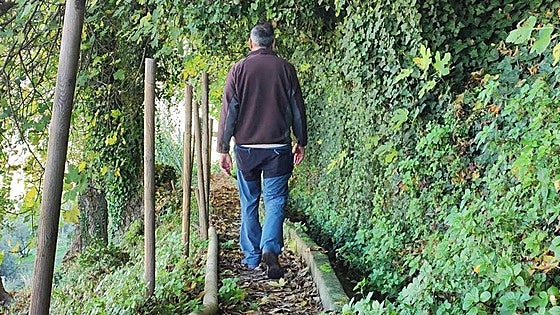 Ruta de las Fuentes: An easy circular walk with water features a-plenty in Cuevas del Becerro, near Ronda