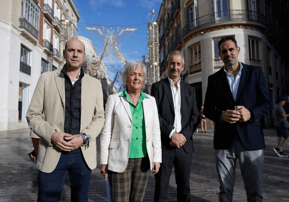 This is what Malaga city's Christmas lights will look like