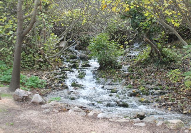 El Chorro is the source of the Cerezo stream, a tributary of the Guadalhorce.