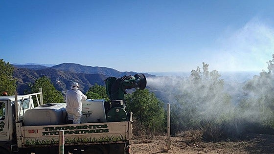 Malaga targets processionary caterpillars which can be lethal to pets and dangerous to humans
