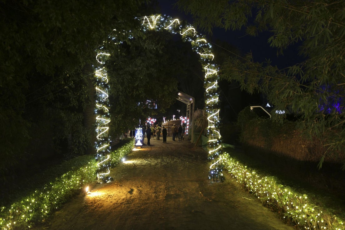 Christmas lights at La Concepción in Malaga