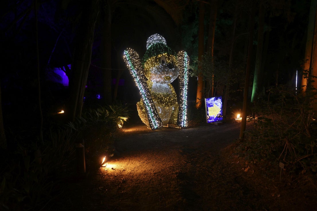 Christmas lights at La Concepción in Malaga