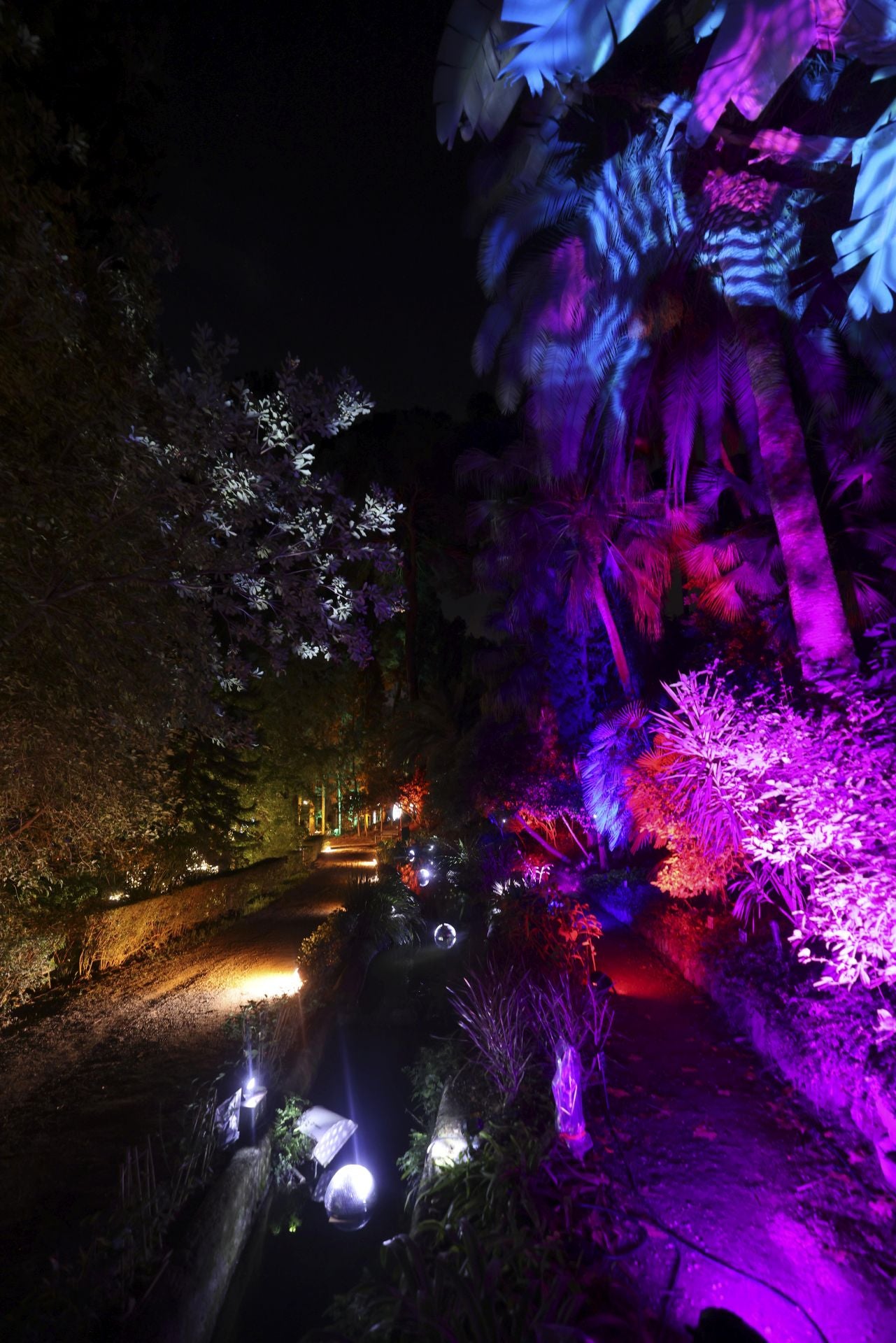 Christmas lights at La Concepción in Malaga