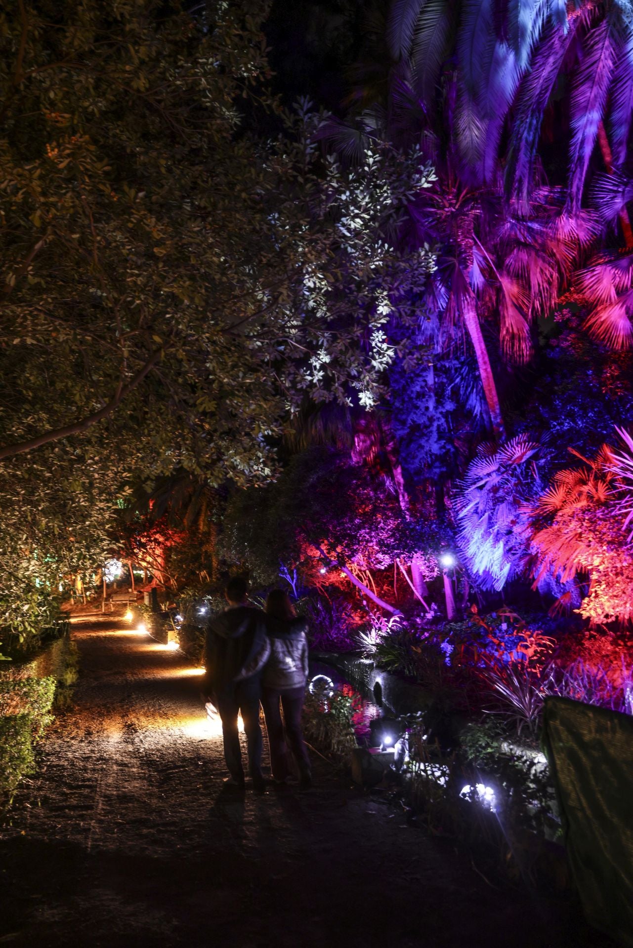 Christmas lights at La Concepción in Malaga