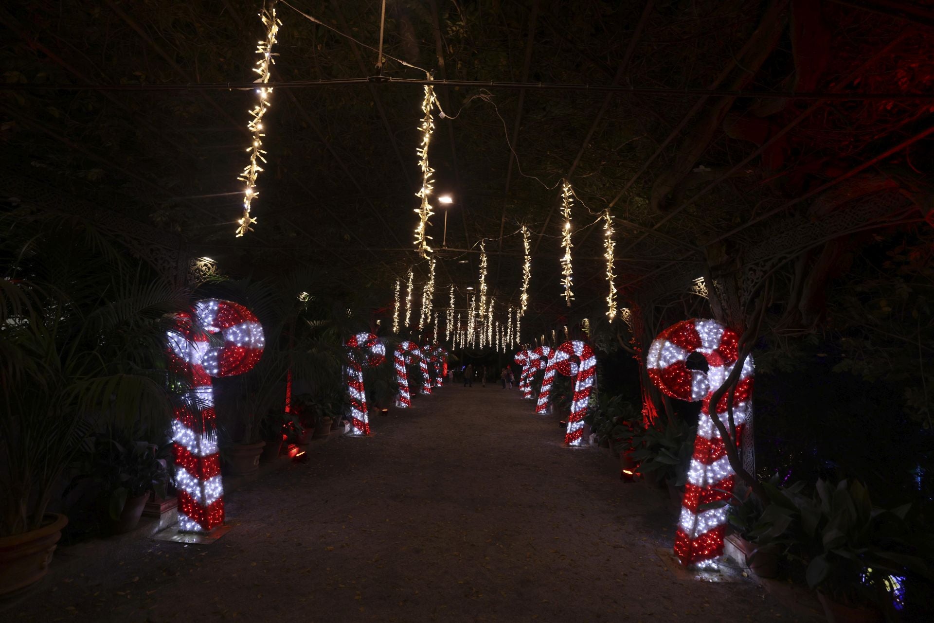 Christmas lights at La Concepción in Malaga