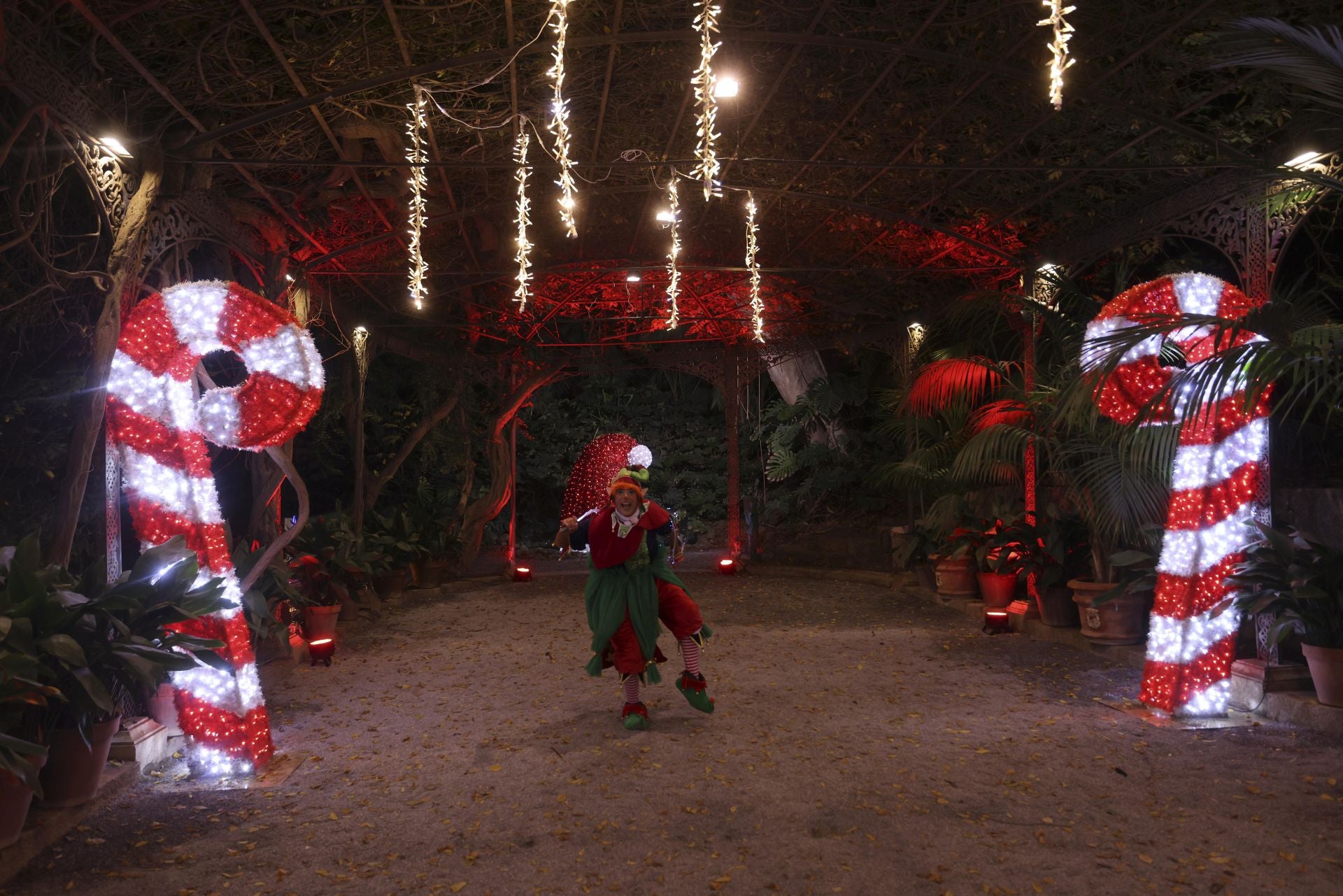 Christmas lights at La Concepción in Malaga