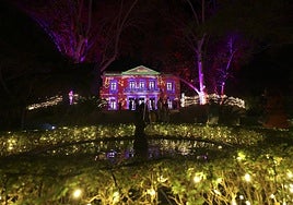 Capture the magic of Malaga's botanical garden this Christmas