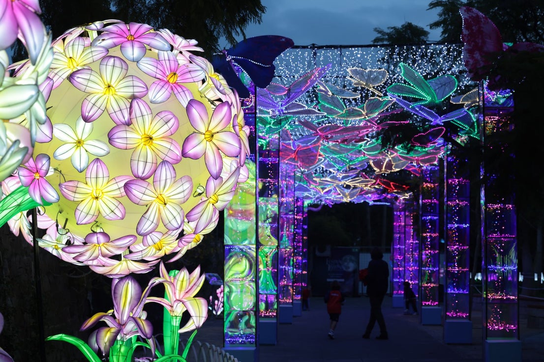 Chinese lantern festival in pictures