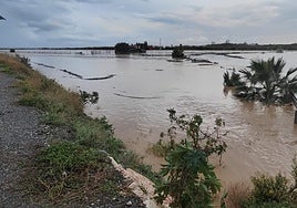 Image of the mouth of the river Vélez on 13 November when it bust its banks.