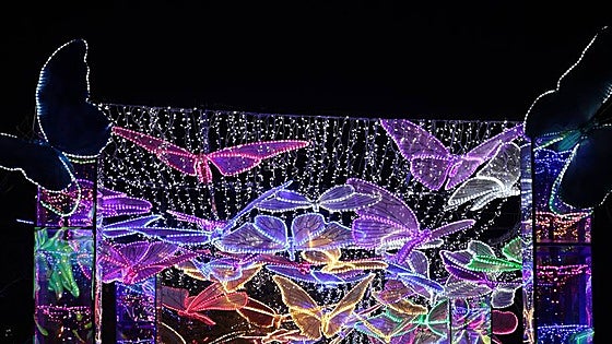 Malaga's Parque del Oeste is transformed into a Chinese festival of light