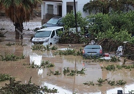 Just some of the vehicles affected by the 'Dana' storm that hit Álora.