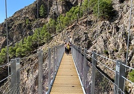 Image of the Saltillo path in Canillas de Aceituno, with the suspension bridge.