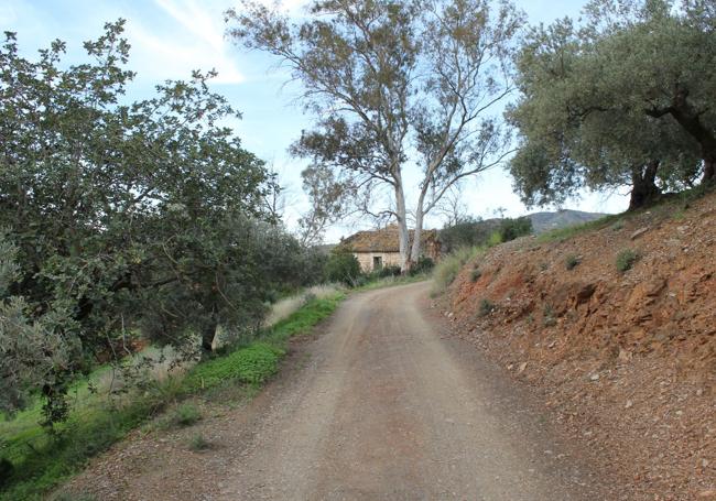 Last section of the route, coinciding with the path that joins Moclinejo with Totalán.