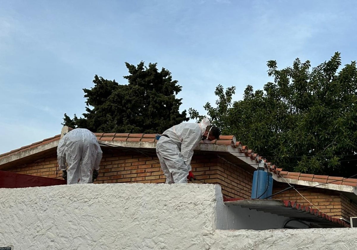 Workers remove asbestos from the La Paz school in Torremolinos.