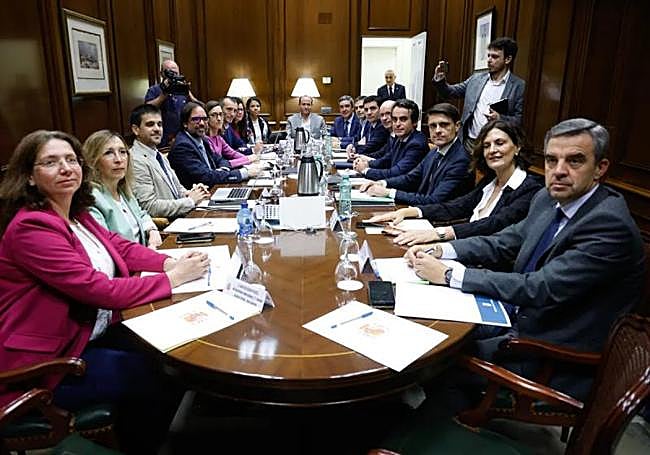 The committee formed by representatives of national, regional and local authorities that authorised the feasibility study.