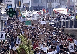 One of the protests in Malaga city calling for affordable housing.
