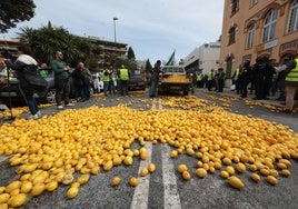 A farmers' protest in Malaga in February.