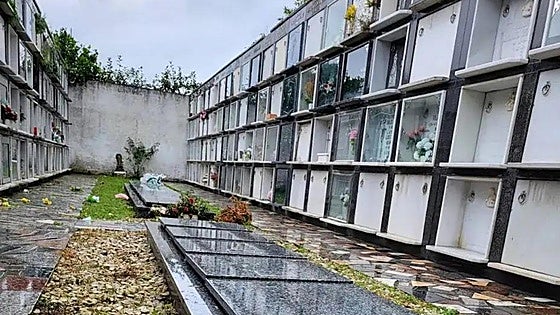 Man who removed his mother's body from cemetery in Spain 'just wanted to check that she really was dead'