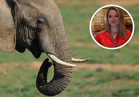 Young Spanish student dies after being attacked by elephant in Thailand