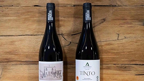 Ronda wine sees off competition from 31 others in Malaga to be the Junta's top choice