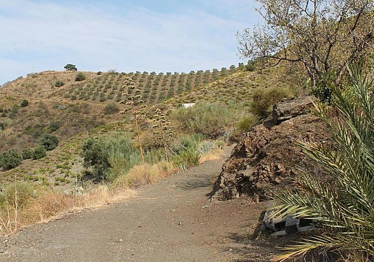 On the way to the Santo Pítar, where it is said that an orang-utan was seen.